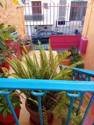 a blue bench sitting on a balcony with plants at The Happy Town House , 300m from the metro station in Athens