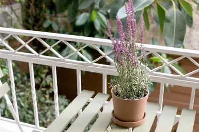 a plant in a pot sitting on a white bench at Lyndon Deluxe Studio - Athens Modern Escape in Athens