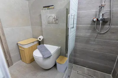 a bathroom with a toilet and a shower at Daedalus Minimal 1bedroom Bliss in Athens