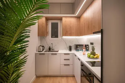 a kitchen with white cabinets and a plant at Ant19- Stylish 1BR with Balcony in Central Athens in Athens