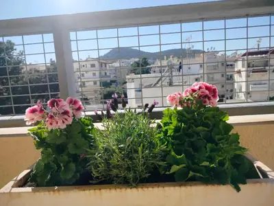 two flowers in a pot on a window sill at Emily's luxury apartment in Vari