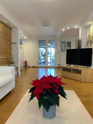 a living room with a vase with red flowers in it at Dafni Athens loft in Athens
