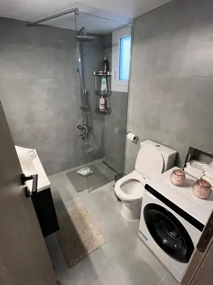 a bathroom with a shower and a toilet with a washing machine at Nektaria philoxenia place in Athens