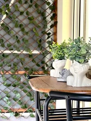 a table with three plants in white vases on it at Casa Marina in Athens