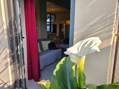 a white flower in front of a living room at Ilissos Terrace Apartment in Athens