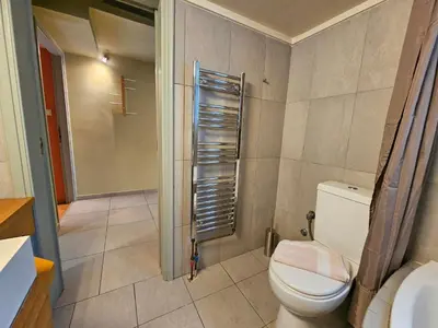 a bathroom with a toilet and a shower at Ilissos Terrace Apartment in Athens