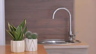 two potted plants on a counter next to a sink at Heart of Syntagma Rooms -2min from the square center- in Athens