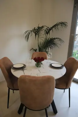 a dining room table with chairs and a plant at Apartment Cathrine in Athens