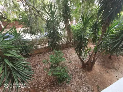a group of palm trees in a garden at beautiful beach apartment in Kavouri in Athens