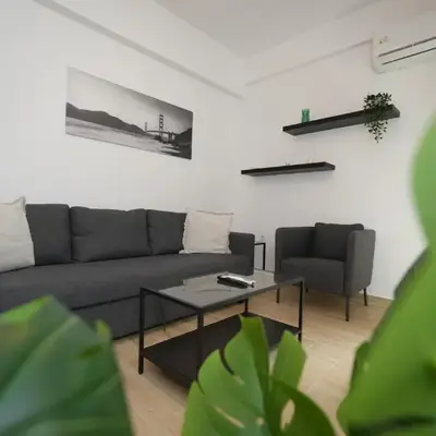 Central 1 BDRM apartment