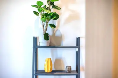 a shelf with a plant and a vase on it at Top Ten Studio in Athens