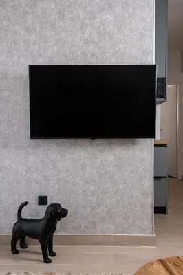 a black dog statue in a living room with a television at Glyfada Luxury Suite by First Class Properties in Athens