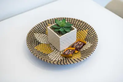 a plate with a plant and a toy truck at Athens F&K Premium City Home in Athens