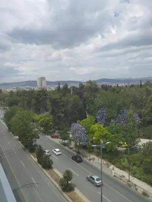 a street with cars driving down a road with trees at Alexandras Park View in Athens