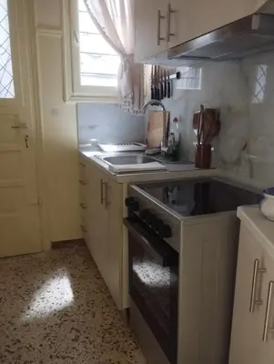 a small kitchen with a stove and a sink at Alexandras Park View in Athens
