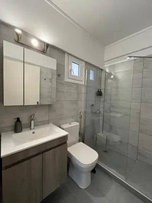 a bathroom with a toilet and a sink and a shower at Nina's Home in Athens