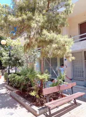 a wooden bench sitting under a tree in front of a building at OneStep in Athens by Oinapothiki Taverna! in Athens