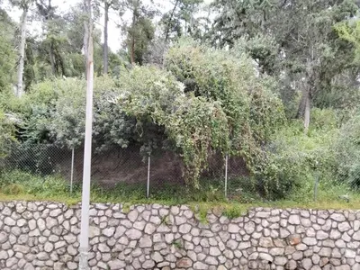 a fence with trees and a stone wall at my HOME in Athens
