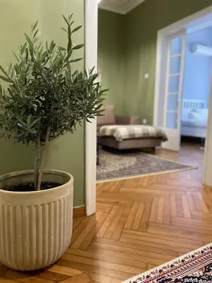 a potted plant sitting on the floor in a living room at my HOME in Athens