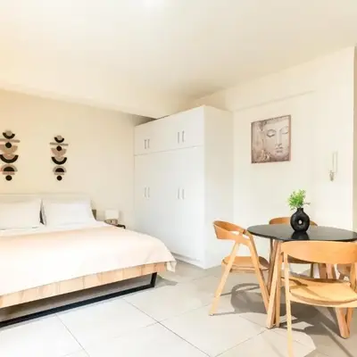 Elysee apartment 1