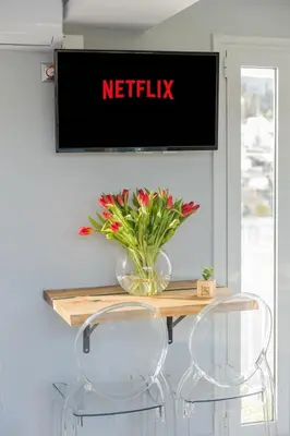 a television with a vase of flowers on a table at Paradise Heated Jacuzzi with Acropolis View in Athens