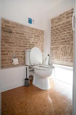 a white toilet in a bathroom with a brick wall at Athenian Cypress House in Athens