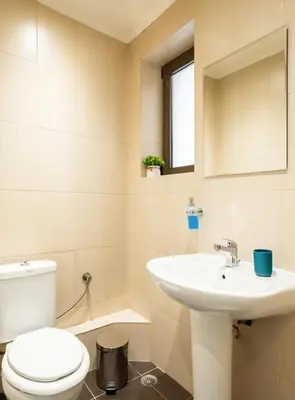 a bathroom with a toilet and a sink at Elysee apartment 7 in Athens