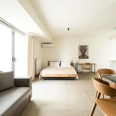 Elysee apartment 8