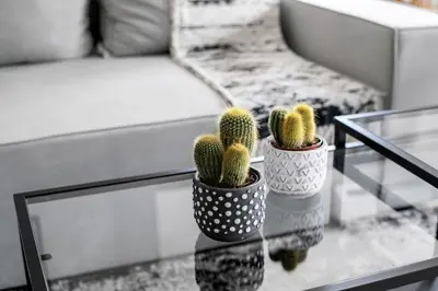 two cactuses sitting on a glass table in a living room at Astoria - Luxury 2-BR Apartment in Athens in Athens