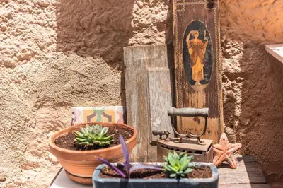 a group of potted plants sitting next to a wall at Charming Vintage Retreat in Athens