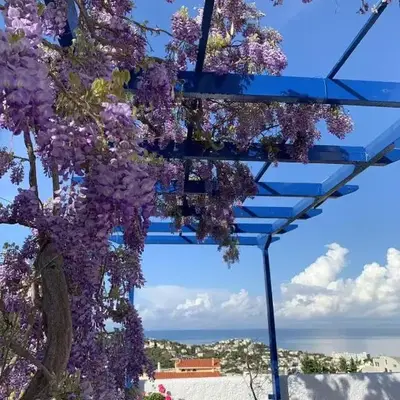 Blue Echoes