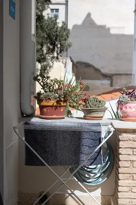 two potted plants sitting on a table in front of a window at Athenian Cypress House, Studio in Athens
