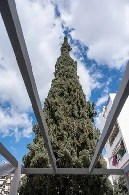 a large christmas tree in the middle of a building at Athenian Cypress House, Studio in Athens
