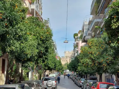 a city street with trees and cars parked on the street at Lovely apartment in Acropolis museum in Athens