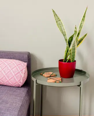 a potted plant on a table next to a couch at Cosy Apartment in the Heart of Athens in Athens