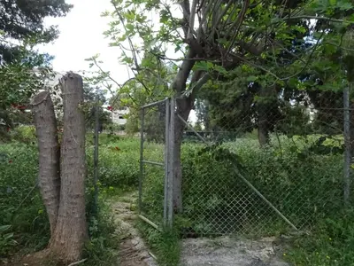a fence with two trees and a tree at Secret Nest in Athens