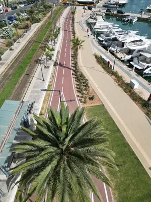 a palm tree on a road next to a marina at Nafsika Cozy Flat A - Glyfada in Athens