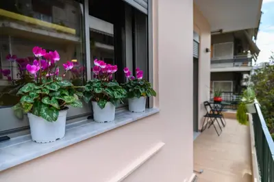 a row of potted plants on a window sill at Daisy's Deluxe Athenian 2bedroom by MPS in Athens