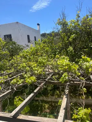 a bunch of trees in a wooden box in front of a building at Lagonisi 1 in Kalívia Thorikoú