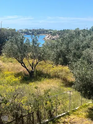 a view of a field with trees and a body of water at Lagonisi 1 in Kalívia Thorikoú