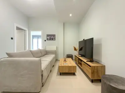 a living room with a couch and a tv at Athenian metro apartments in Athens