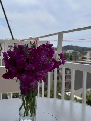 a vase filled with purple flowers sitting on a table at Krezias Apartments ST 6 Acropolis View in Athens