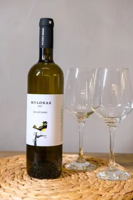 a bottle of wine next to two wine glasses at Art Squared in Athens