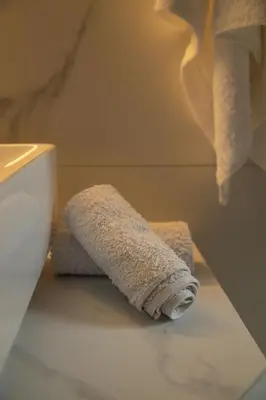 a roll of toilet paper sitting on a bathroom counter at Lemon Nest in Athens