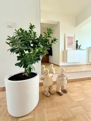 a potted plant in a room with teddy bears at Sunny Downtown Glyfada Penthouse in Athens