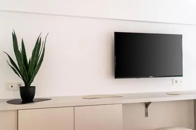 a tv on a wall in a living room with a plant at Downtown Properties Loft 2 in Athens