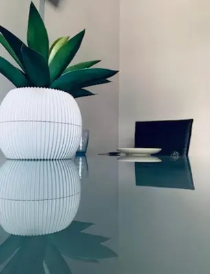 a plant in a white vase sitting on a table at Panathenaic Athens Center Apartment in Athens
