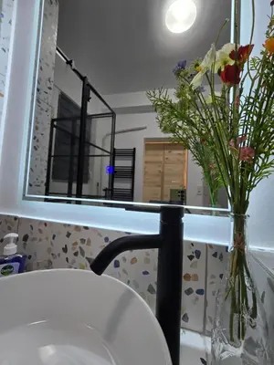 a bathroom sink with a mirror and a vase of flowers at Kiki's comfort stay in West Athens in Athens