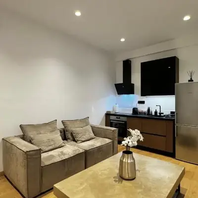 Downtown Modern Suite