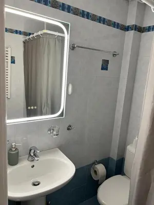 a bathroom with a sink and a toilet and a mirror at Boubous house in Athens